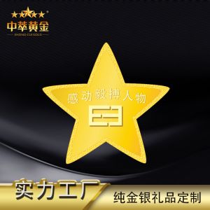 中萃黃(huáng)金(jīn)-五角星徽章(zhāng)胸章(zhāng)定制(zhì)